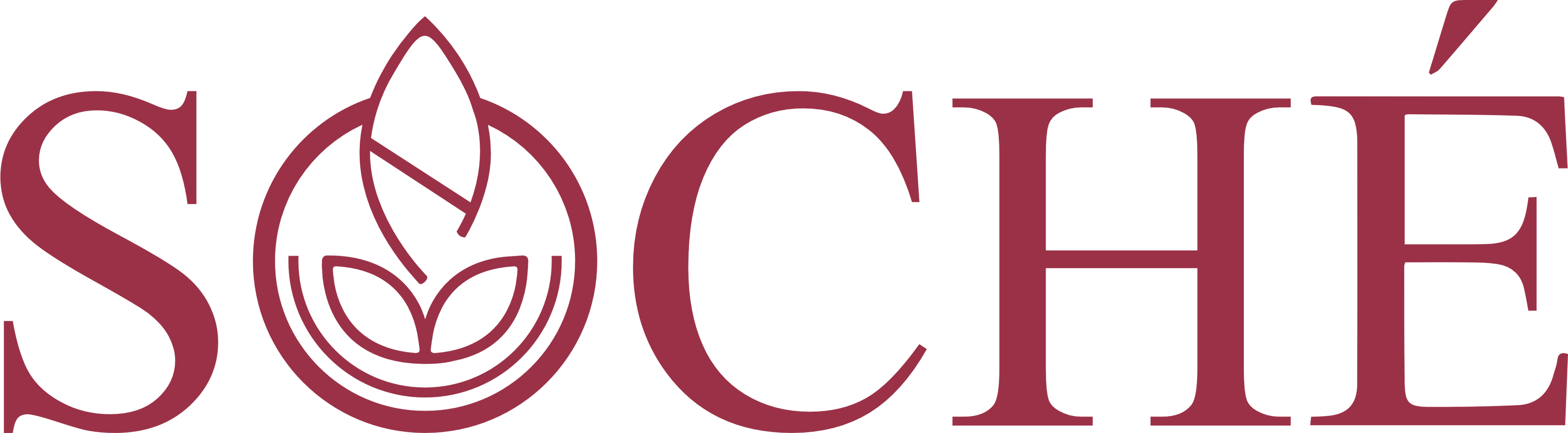 Soche