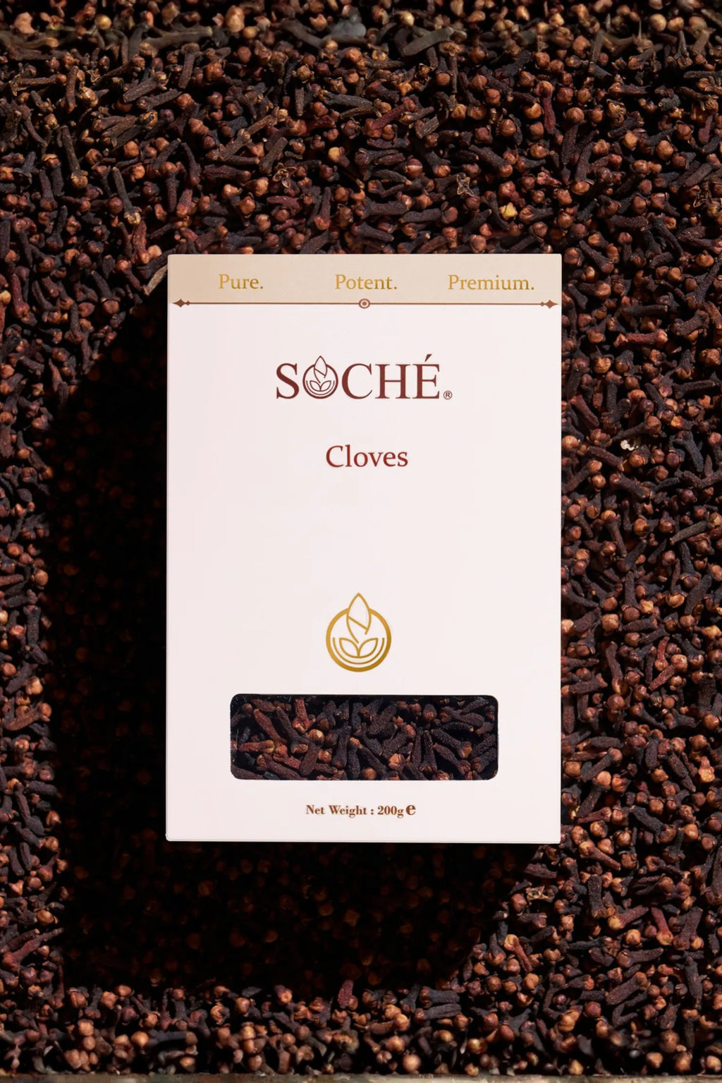 Soché Noir